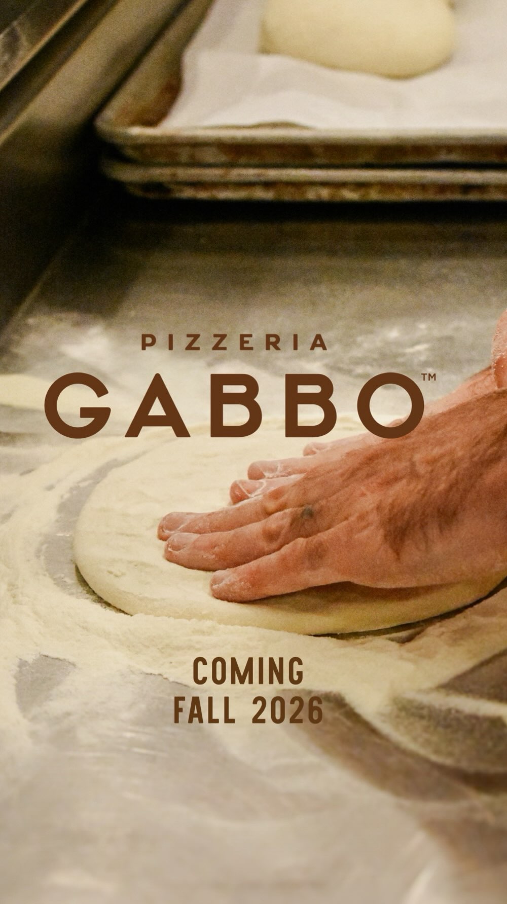 Pizzeria Gabbo - Chicago